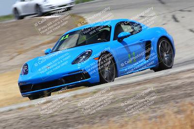 media/May-05-2023-PCA Central Coast (Fri) [[d16b5b411f]]/Blue Group/Session 3 (Outside Grapevine)/